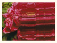 Homage to Ryuichi Sakamoto